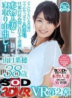 【寝取り・寝取られ・NTR♡山口菜穂】【VR】山口菜穂 38歳 VR 第2章どこにでもいる普通のママがやっぱり1番エロい。旦那の居ぬ間に自宅で逢瀬。本物人妻に寝取り中出し！｜13dsvr00362